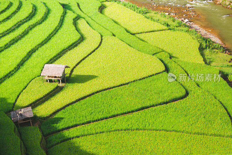 美丽的风景，绿色的稻田准备在越南西北部的梯田日落山在木仓寨，Yen Bai，越南